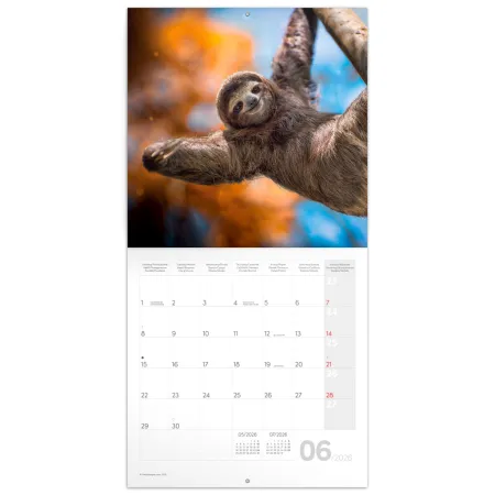 NOTIQUE Poznámkový kalendář Úsměv, prosím 2026, 30 x 30 cm