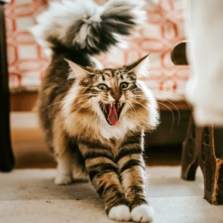 NOTIQUE Poznámkový kalendář Úsměv, prosím 2026, 30 x 30 cm