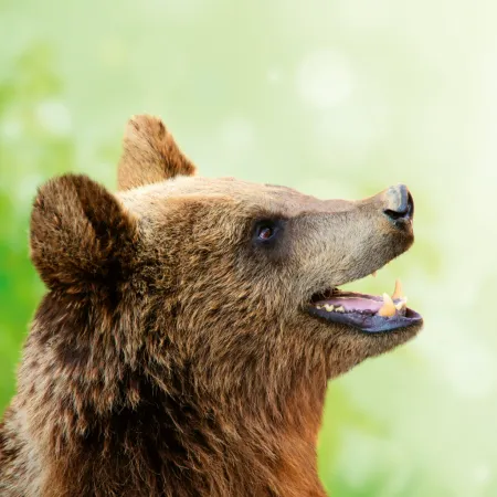 NOTIQUE Poznámkový kalendář Úsměv, prosím 2026, 30 x 30 cm