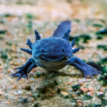 NOTIQUE Poznámkový kalendář Úsměv, prosím 2026, 30 x 30 cm