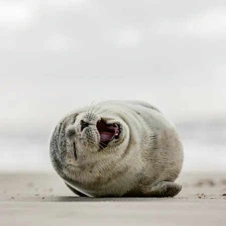 NOTIQUE Poznámkový kalendář Úsměv, prosím 2026, 30 x 30 cm