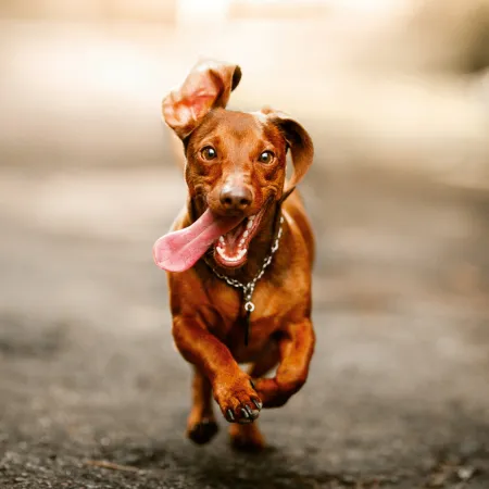 NOTIQUE Poznámkový kalendář Úsměv, prosím 2026, 30 x 30 cm