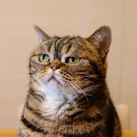 NOTIQUE Poznámkový kalendář Úsměv, prosím 2026, 30 x 30 cm