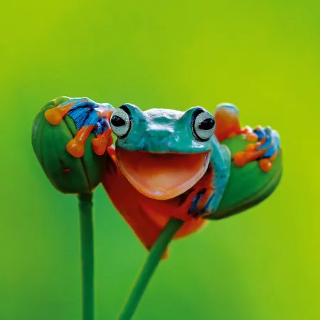 NOTIQUE Poznámkový kalendář Úsměv, prosím 2026, 30 x 30 cm