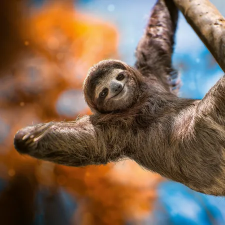 NOTIQUE Poznámkový kalendář Úsměv, prosím 2026, 30 x 30 cm