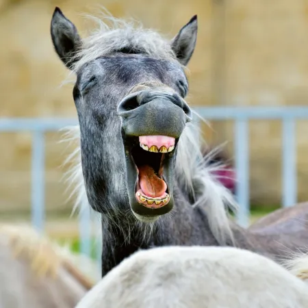 NOTIQUE Poznámkový kalendář Úsměv, prosím 2026, 30 x 30 cm