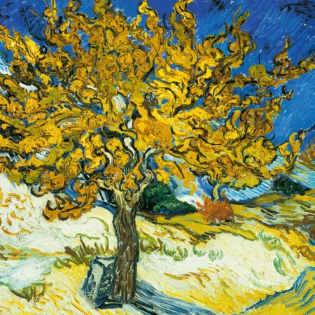 NOTIQUE Poznámkový kalendář Vincent van Gogh 2026, 30 x 30 cm