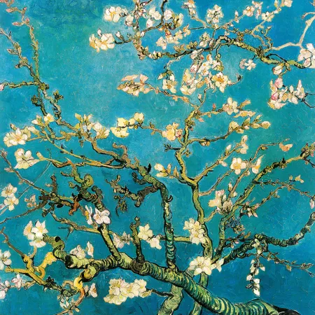 NOTIQUE Poznámkový kalendář Vincent van Gogh 2026, 30 x 30 cm