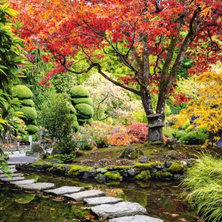 NOTIQUE Poznámkový kalendář Zahrady 2026, 30 x 30 cm