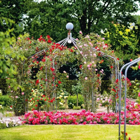 NOTIQUE Poznámkový kalendář Zahrady 2026, 30 x 30 cm