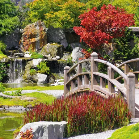 NOTIQUE Poznámkový kalendář Zahrady 2026, 30 x 30 cm