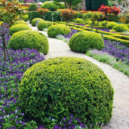 NOTIQUE Poznámkový kalendář Zahrady 2026, 30 x 30 cm