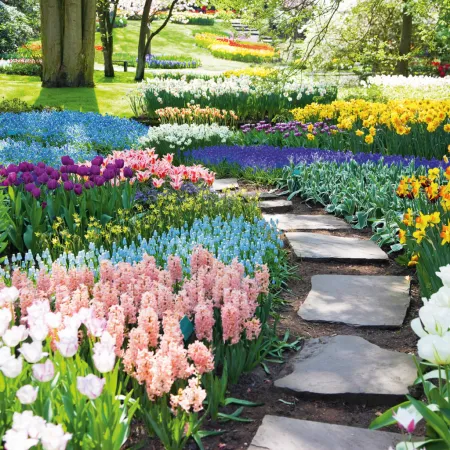 NOTIQUE Poznámkový kalendář Zahrady 2026, 30 x 30 cm