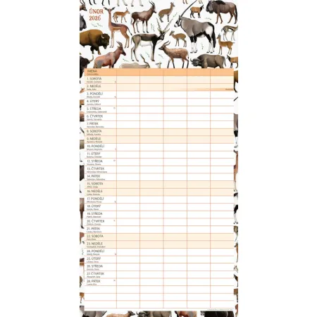 NOTIQUE Rodinný plánovací kalendář Animalium 2026, 30 x 30 cm