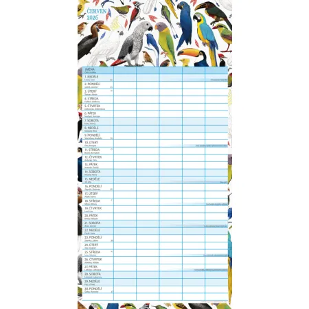 NOTIQUE Rodinný plánovací kalendář Animalium 2026, 30 x 30 cm