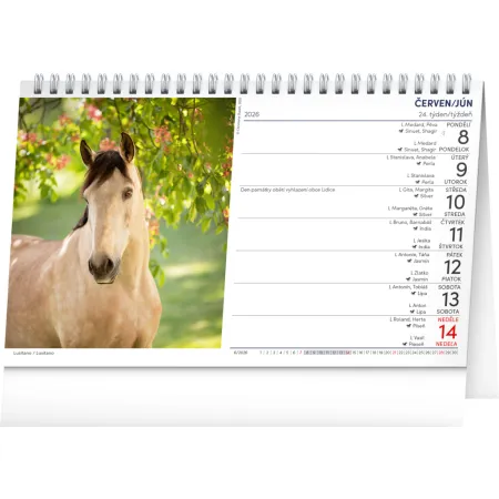 NOTIQUE Stolní kalendář Koně – Kone CZ/SK 2026, 23,1 x 14,5 cm