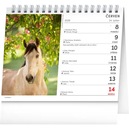 NOTIQUE Stolní kalendář Poezie koní 2026, 16,5 x 13 cm