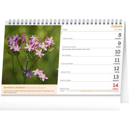 NOTIQUE Stolní kalendář Přírodní lékárna 2026, 23,1 x 14,5 cm