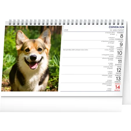 NOTIQUE Stolní kalendář Psi – Psy CZ/SK 2026, 23,1 x 14,5 cm