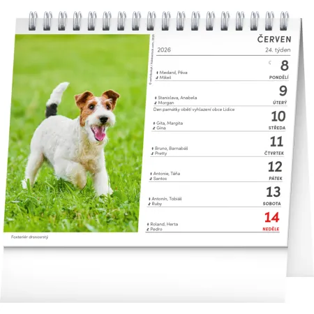 NOTIQUE Stolní kalendář Psi – se jmény psů 2026, 16,5 x 13 cm