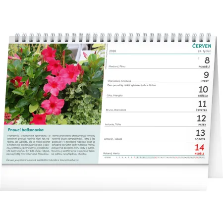 NOTIQUE Stolní kalendář Zahrádkář 2026, 23,1 x 14,5 cm