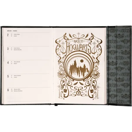 NOTIQUE Týdenní magnetický diář Harry Potter –  Lumos 2026, 11 x 16 cm
