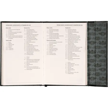 NOTIQUE Týdenní magnetický diář Harry Potter –  Lumos 2026, 11 x 16 cm