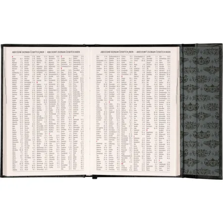 NOTIQUE Týdenní magnetický diář Harry Potter –  Lumos 2026, 11 x 16 cm