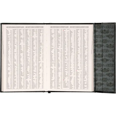 NOTIQUE Týdenní magnetický diář Harry Potter –  Lumos 2026, 11 x 16 cm