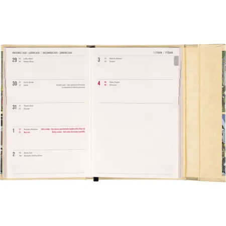 NOTIQUE Týdenní magnetický diář Josef Lada 2026, 11 x 16 cm