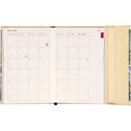 NOTIQUE Týdenní magnetický diář Josef Lada 2026, 11 x 16 cm