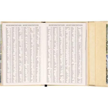 NOTIQUE Týdenní magnetický diář Josef Lada 2026, 11 x 16 cm