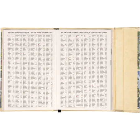 NOTIQUE Týdenní magnetický diář Josef Lada 2026, 11 x 16 cm