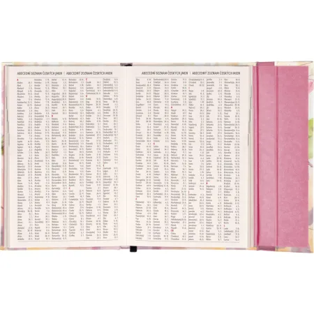 NOTIQUE Týdenní magnetický diář Ptáčci 2026, 11 x 16 cm