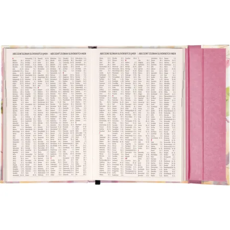 NOTIQUE Týdenní magnetický diář Ptáčci 2026, 11 x 16 cm