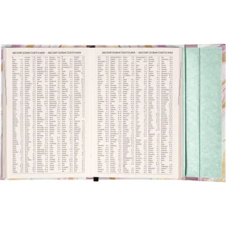 NOTIQUE Týdenní magnetický diář Růžový mramor 2026, 11 x 16 cm