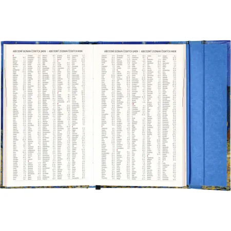 NOTIQUE Týdenní magnetický diář Vincent van Gogh 2026, 13 x 21 cm