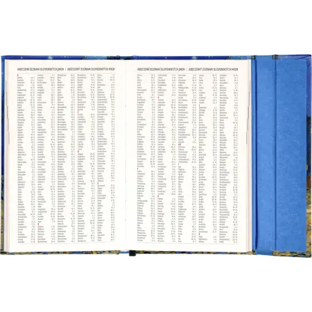 NOTIQUE Týdenní magnetický diář Vincent van Gogh 2026, 13 x 21 cm