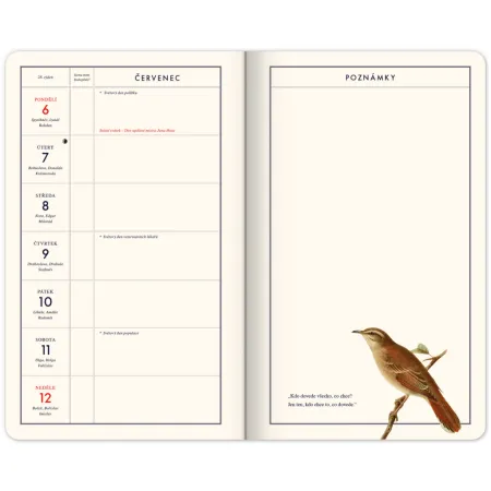 NOTIQUE Zábavný kalendář Kateřiny Winterové 2026, 13 x 21 cm