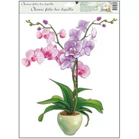 Okenní fólie ANDĚL 887 orchideje 42x30cm