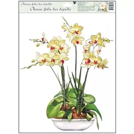 Okenní fólie ANDĚL 887 orchideje 42x30cm