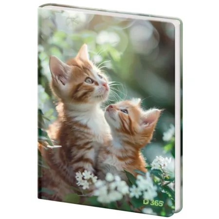 Památník A5 13x18cm čistý Tabby (CMK0692)