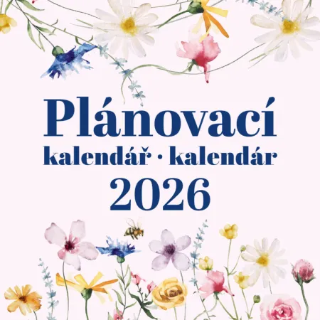 Plánovací kalendář (N176-26)