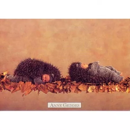 Pohlednice Anne Geddes, miminka v kostýmu ježečka