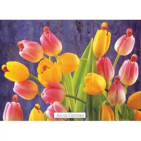 Pohlednice Anne Geddes, miminka v poupatech tulipánů
