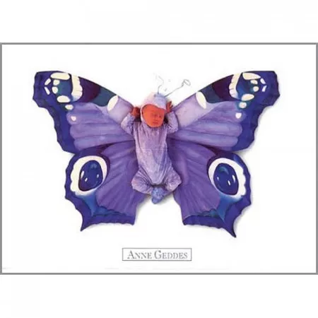Pohlednice Anne Geddes, miminko v kostýmu fialového motýlka