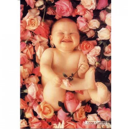 Pohlednice Anne Geddes, smějící se miminko v růžích