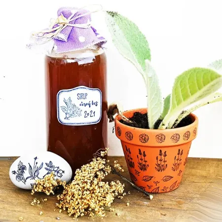 Razítka Stampo Hobby Bylinky, 41 ks