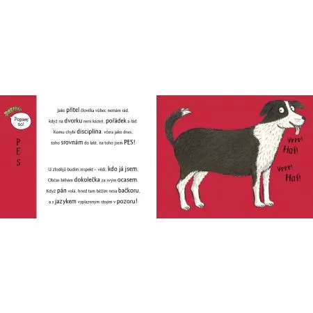 Rozpustilé hrátky NA DVOŘE se zvířátky