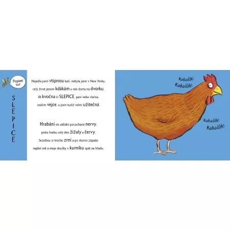 Rozpustilé hrátky NA DVOŘE se zvířátky